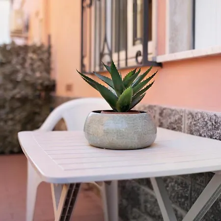 Victoria Fil Rouge Daire